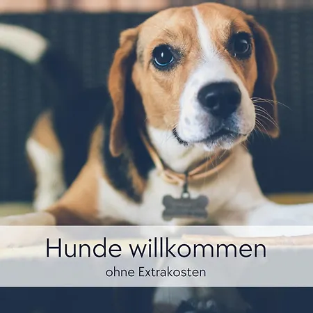 Graefin Martha Maria - Stilvolles In Der Historischen Hinterburg - Mit Aufzug, Parkplatz, E-ladestation & Garten - Fulda, Alsfeld, Bad Hersfeld 25-30 Min - Hunde Willkommen דירה