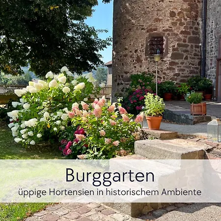 Gräfin Martha Maria - In Der Historischen Hinterburg - Mit Aufzug, Parkplatz, E-ladestation&garten - Fulda, Alsfeld, Bad Hersfeld 25-30 Min - Hunde Willkommen Schlitz