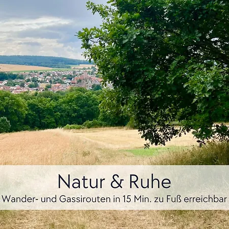 Graefin Martha Maria - Stilvolles In Der Historischen Hinterburg - Mit Aufzug, Parkplatz, E-ladestation & Garten - Fulda, Alsfeld, Bad Hersfeld 25-30 Min - Hunde Willkommen Appartement *