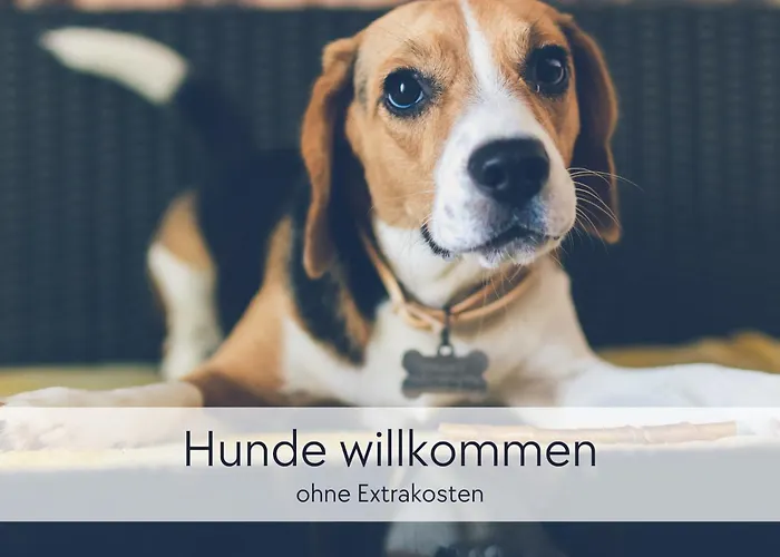Graefin Martha Maria - Stilvolles In Der Historischen Hinterburg - Mit Aufzug, Parkplatz, E-ladestation & Garten - Fulda, Alsfeld, Bad Hersfeld 25-30 Min - Hunde Willkommen Apartman