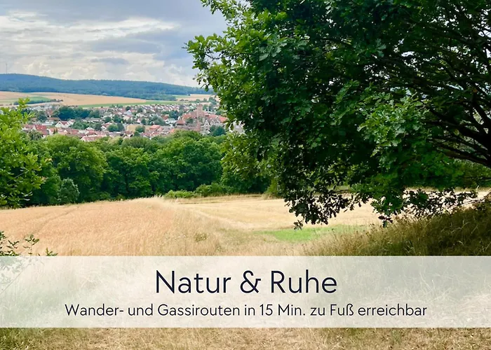 Graefin Martha Maria - Stilvolles In Der Historischen Hinterburg - Mit Aufzug, Parkplatz, E-ladestation & Garten - Fulda, Alsfeld, Bad Hersfeld 25-30 Min - Hunde Willkommen Apartman *